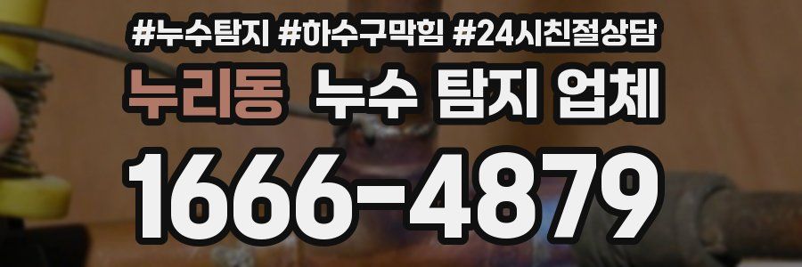 누리동 누수 탐지 업체