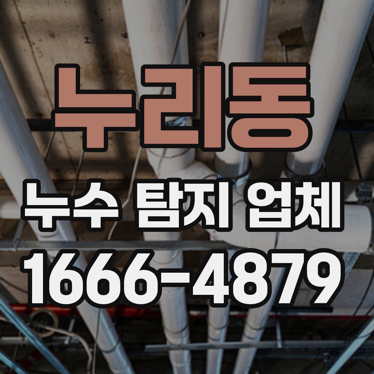 누리동 누수 탐지 업체