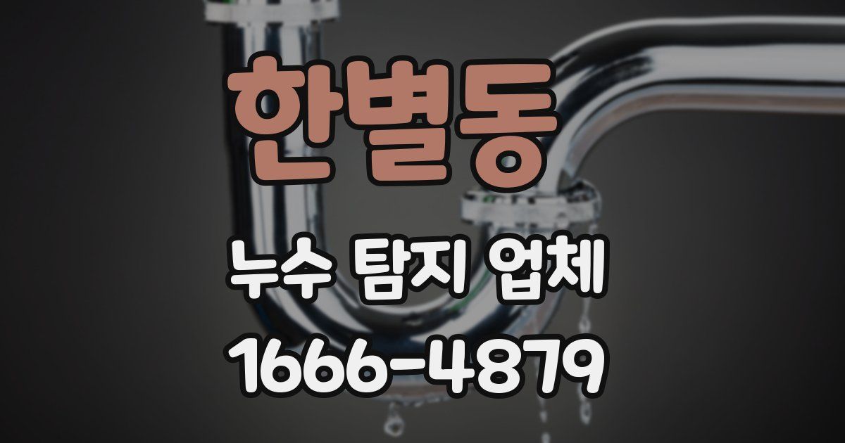 한별동 누수 탐지 업체