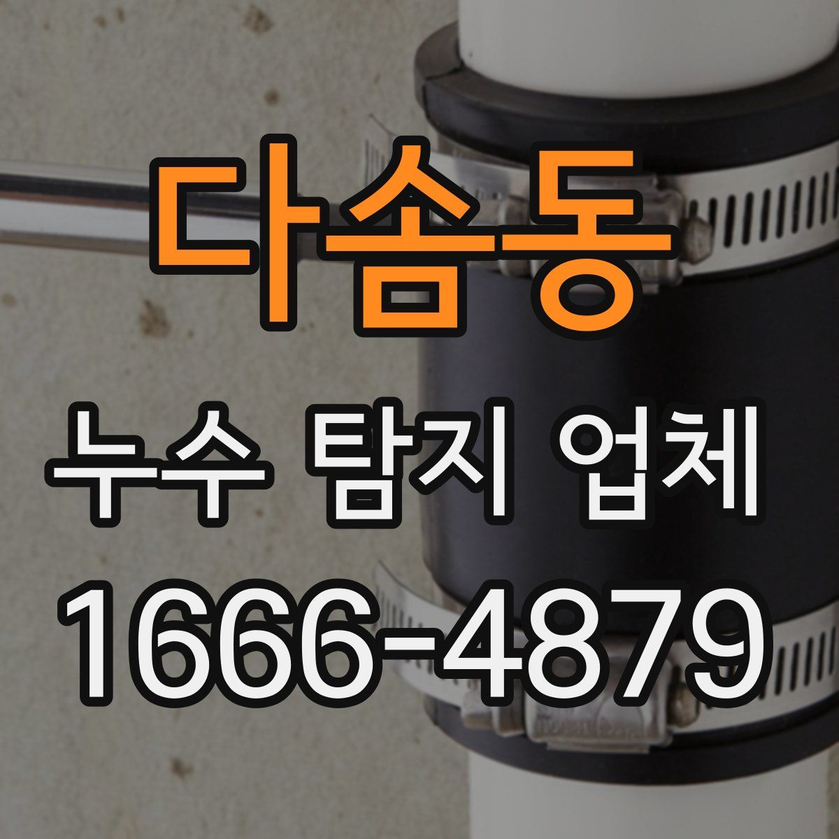 다솜동 누수 탐지 업체