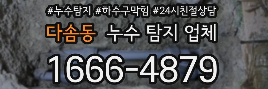 다솜동 누수 탐지 업체