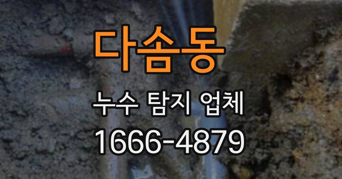 다솜동 누수 탐지 업체