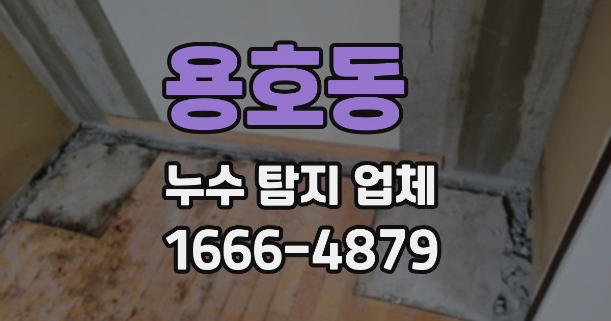 용호동 누수 탐지 업체