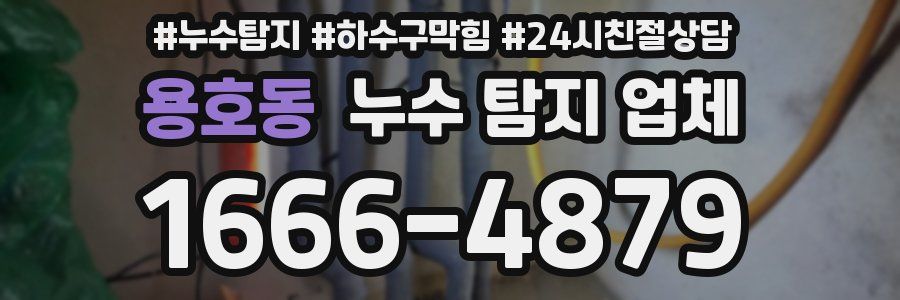 용호동 누수 탐지 업체
