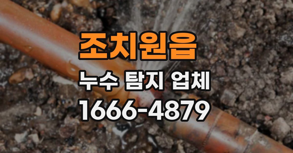 조치원읍 누수 탐지 업체