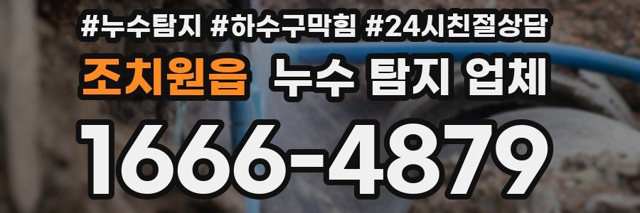 조치원읍 누수 탐지 업체