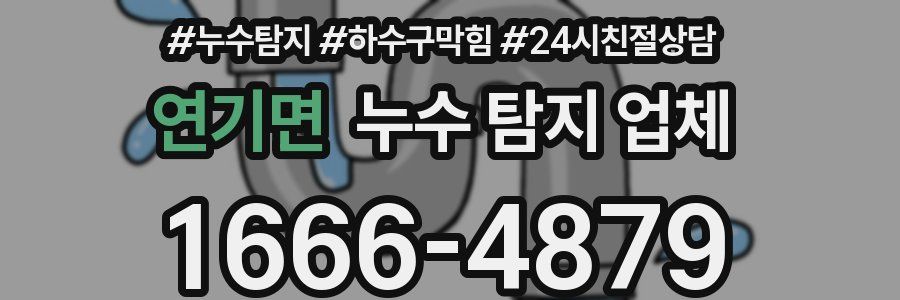 연기면 누수 탐지 업체