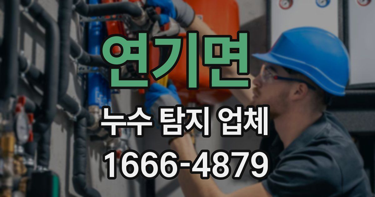 연기면 누수 탐지 업체