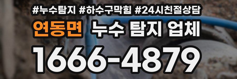 연동면 누수 탐지 업체