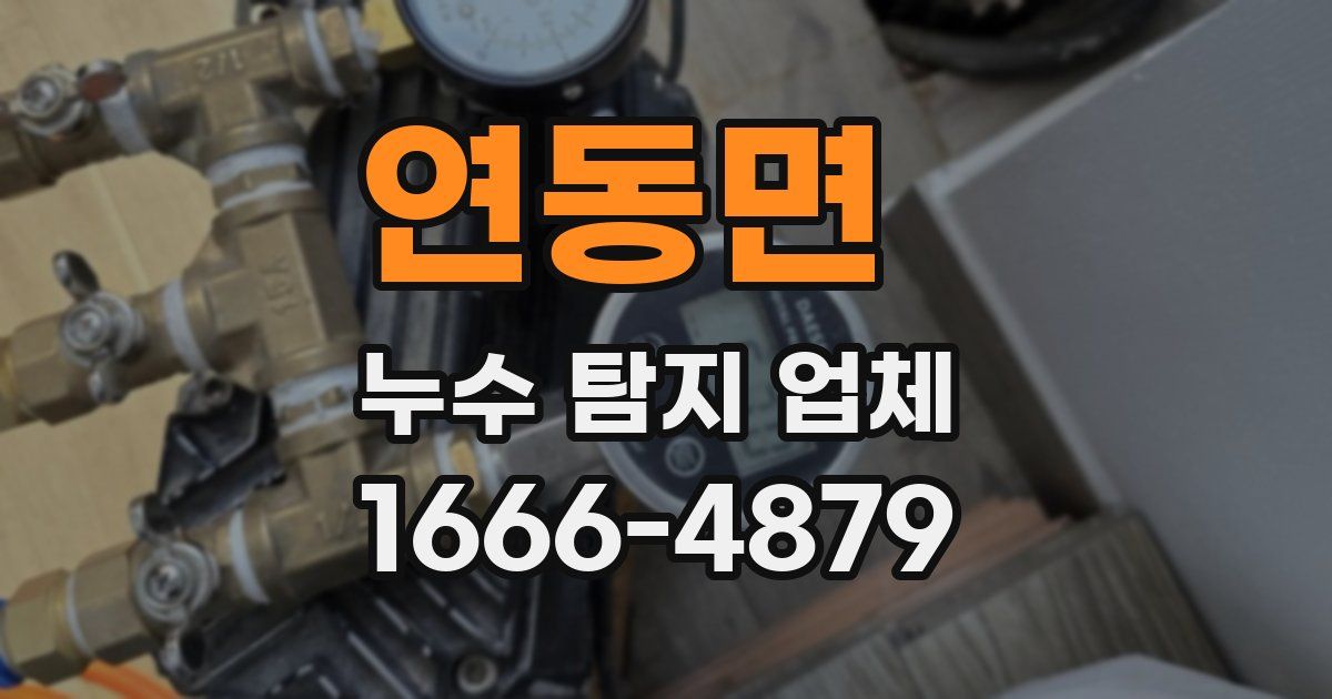 연동면 누수 탐지 업체