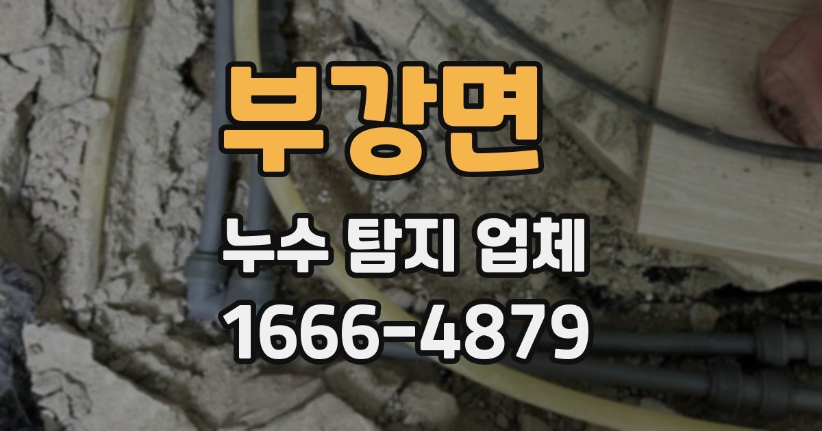 부강면 누수 탐지 업체