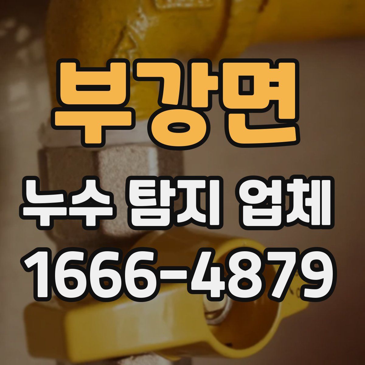 부강면 누수 탐지 업체