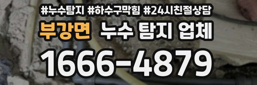 부강면 누수 탐지 업체