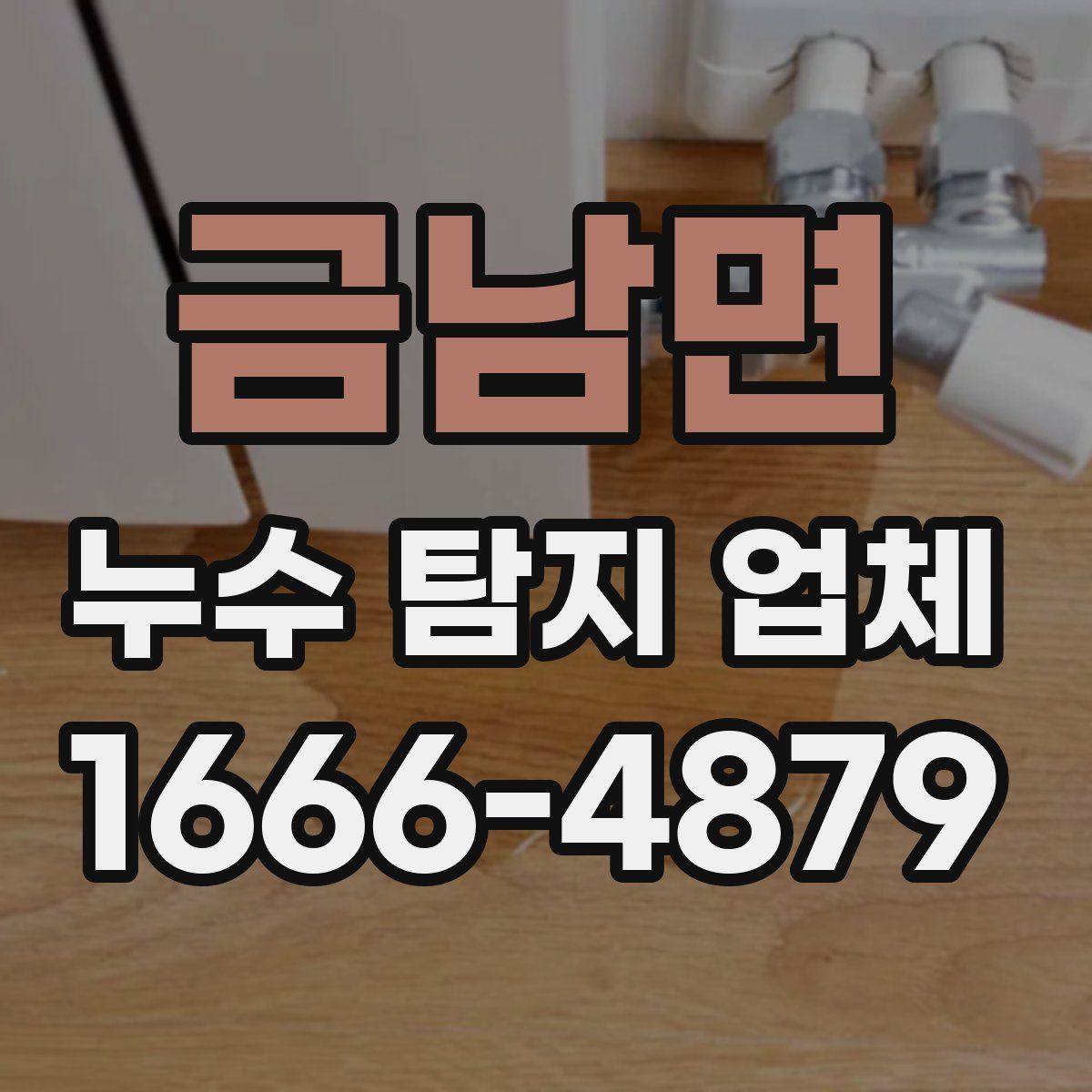 금남면 누수 탐지 업체