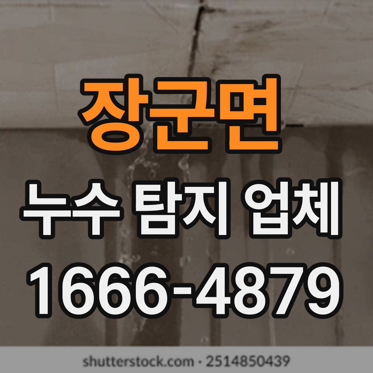 장군면 누수 탐지 업체