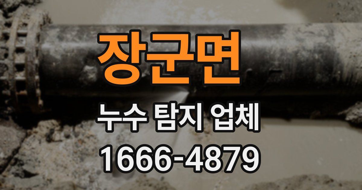 장군면 누수 탐지 업체