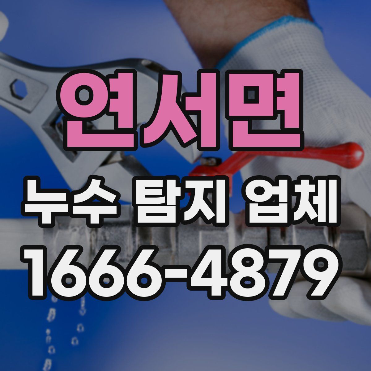 연서면 누수 탐지 업체