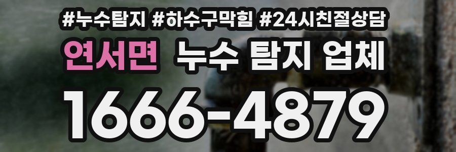 연서면 누수 탐지 업체