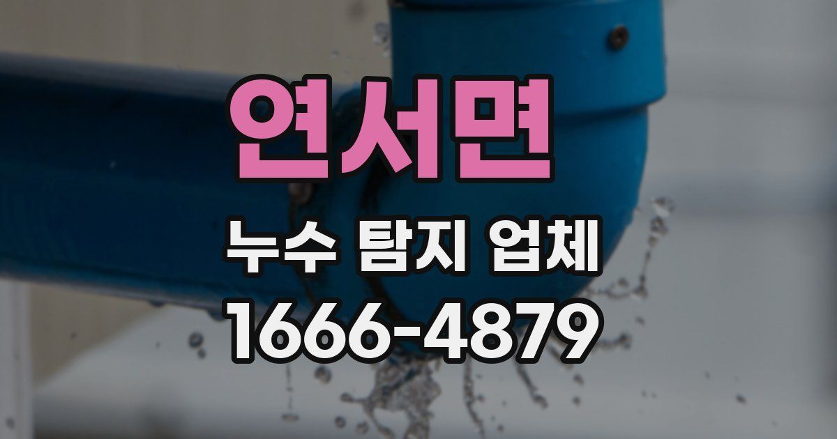 연서면 누수 탐지 업체