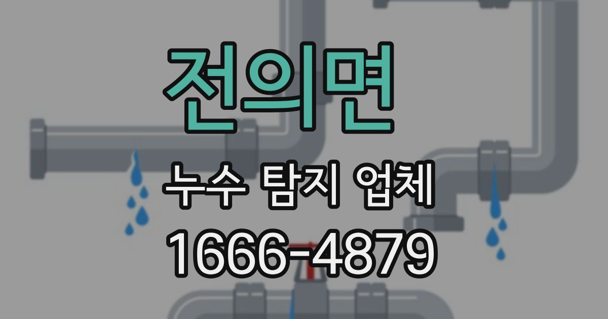 전의면 누수 탐지 업체