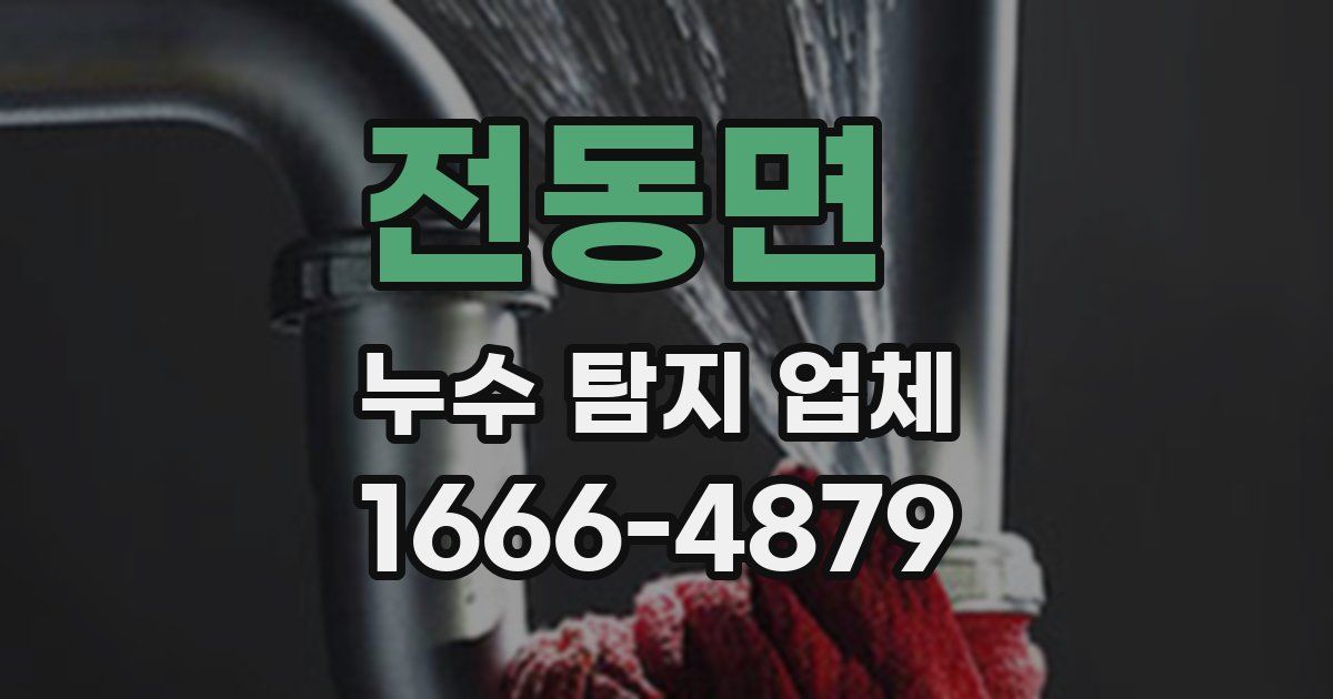 전동면 누수 탐지 업체