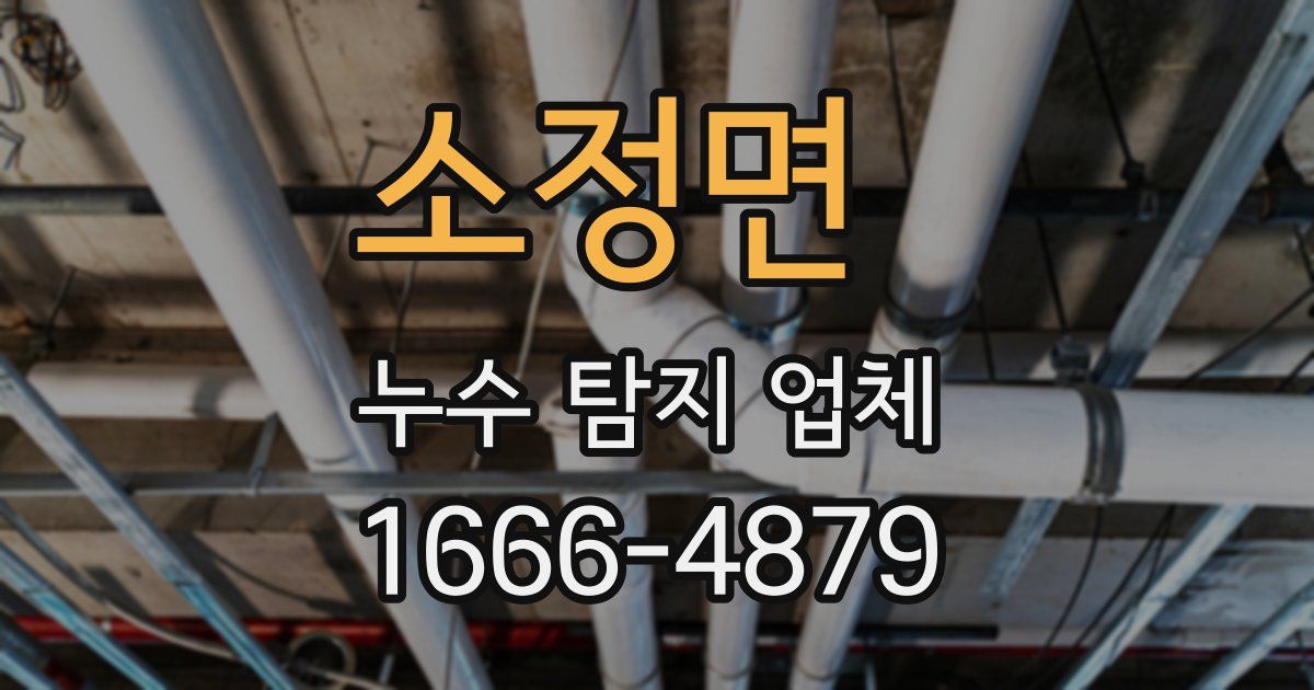 소정면 누수 탐지 업체