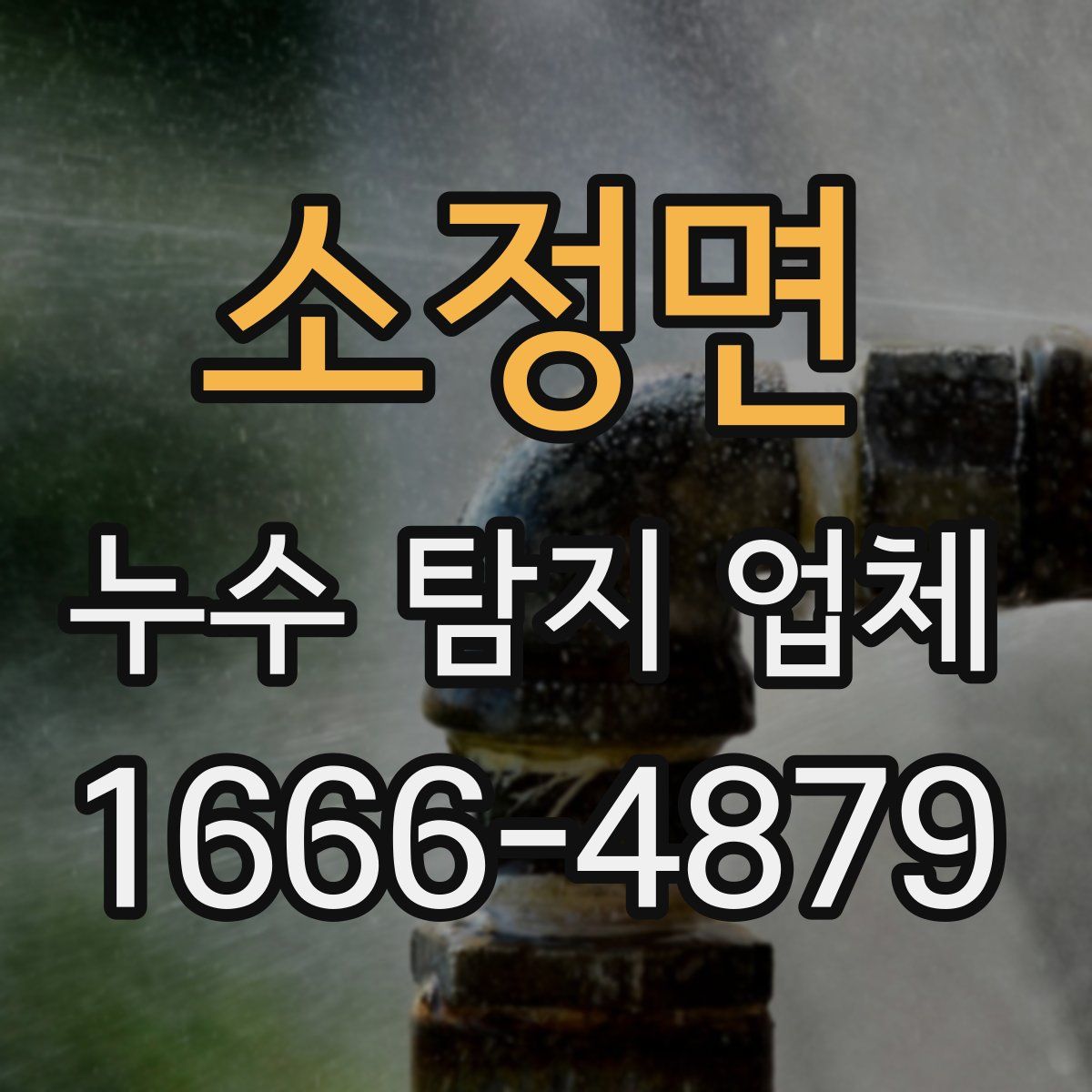 소정면 누수 탐지 업체