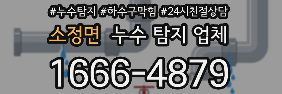 소정면 누수 탐지 업체