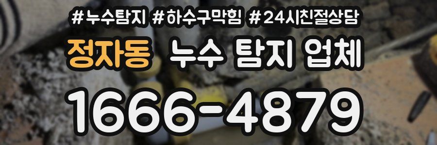 정자동 누수 탐지 업체