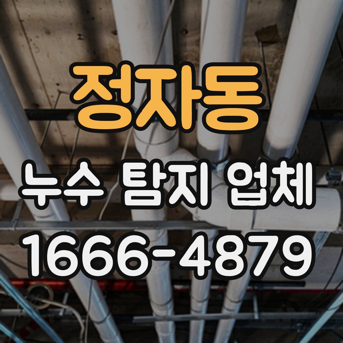 정자동 누수 탐지 업체