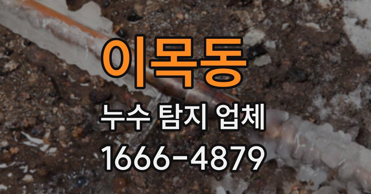 이목동 누수 탐지 업체