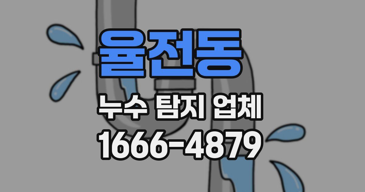 율전동 누수 탐지 업체