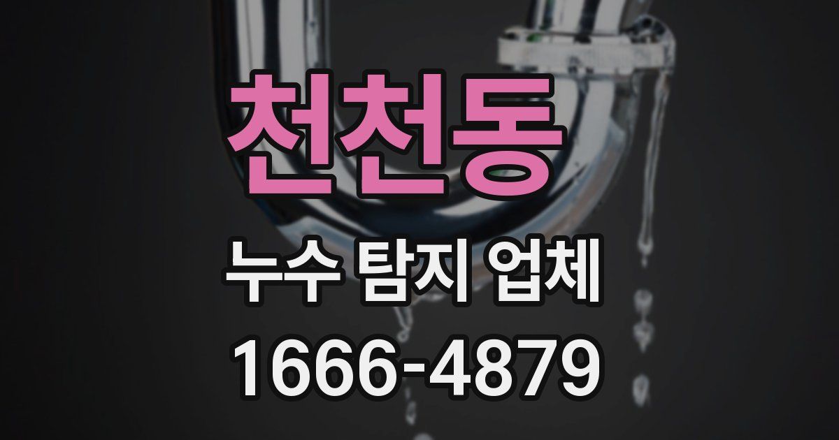 천천동 누수 탐지 업체