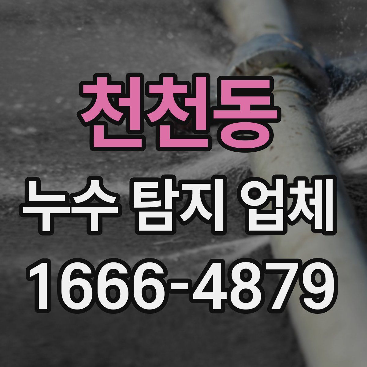 천천동 누수 탐지 업체
