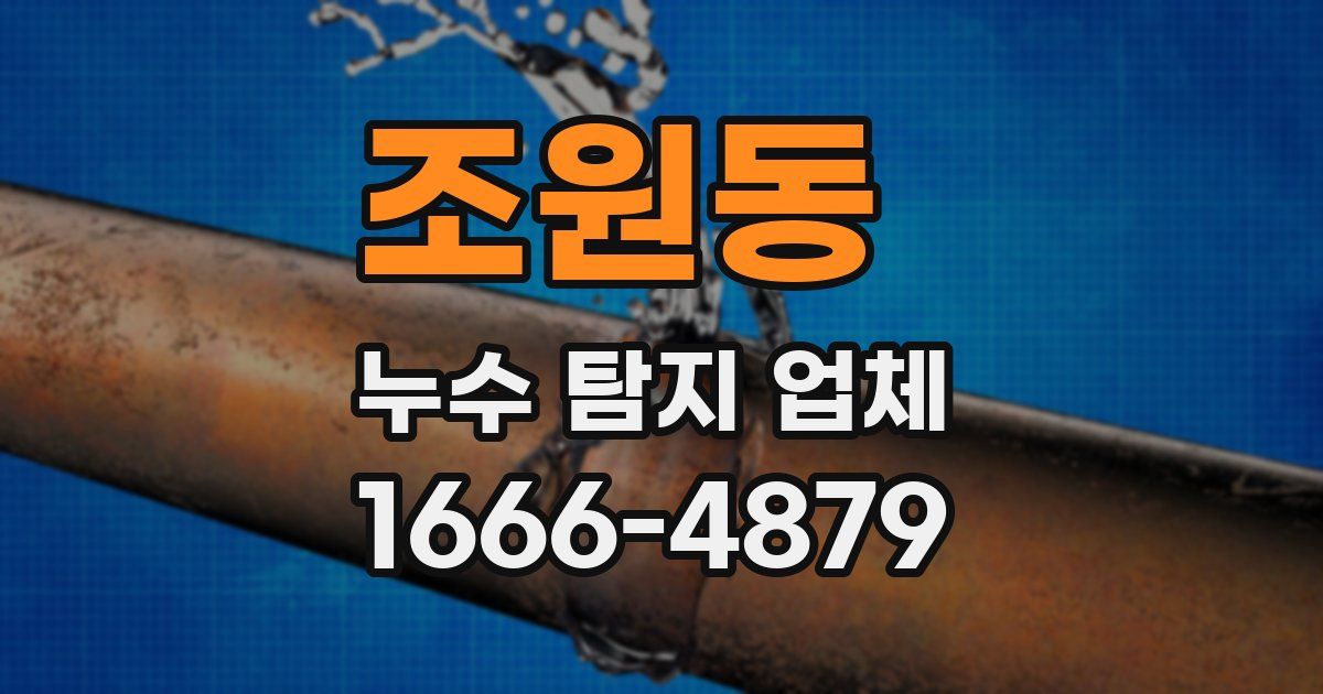 조원동 누수 탐지 업체