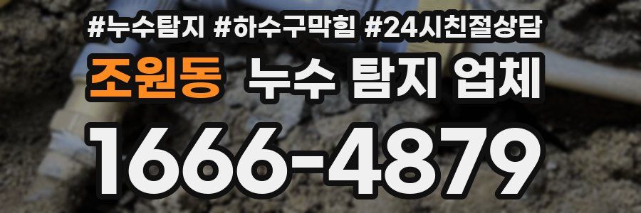 조원동 누수 탐지 업체