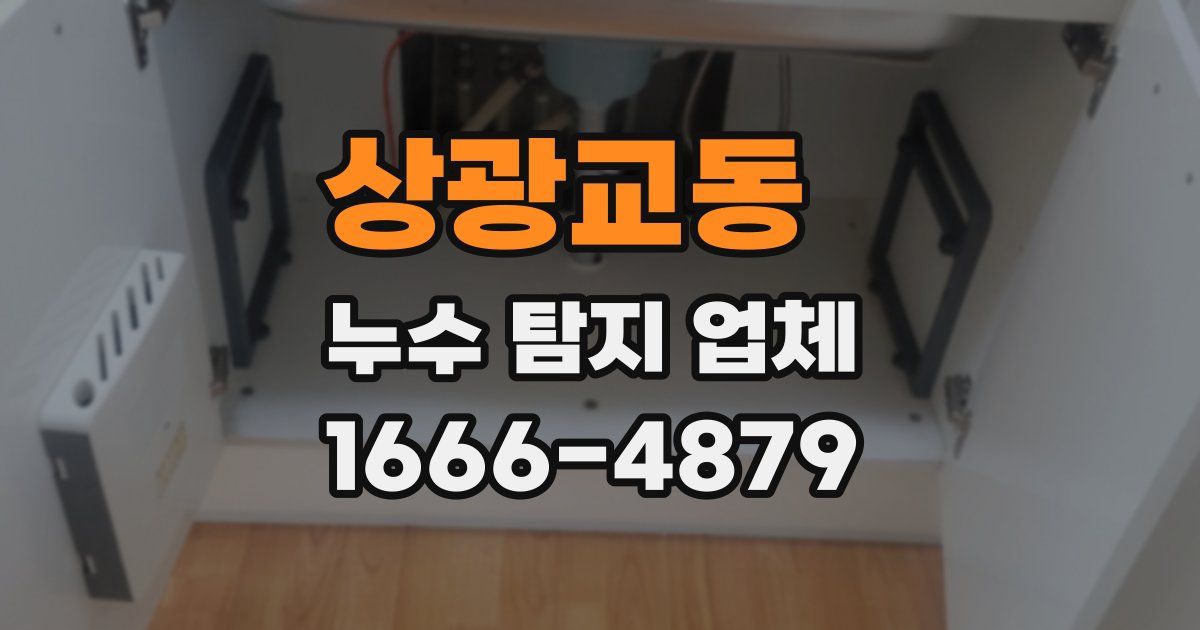 상광교동 누수 탐지 업체
