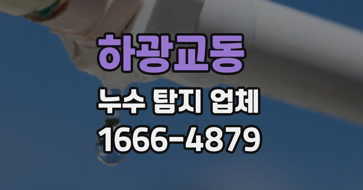 하광교동 누수 탐지 업체