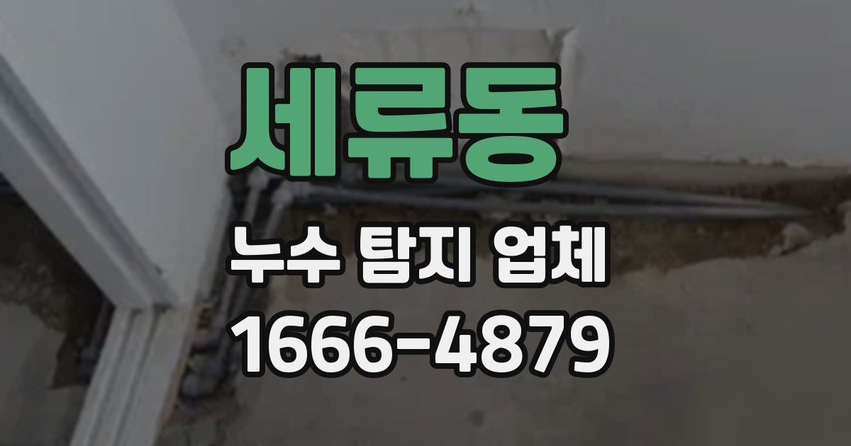 세류동 누수 탐지 업체