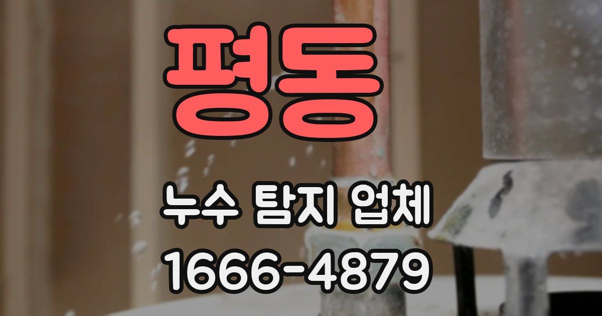 평동 누수 탐지 업체