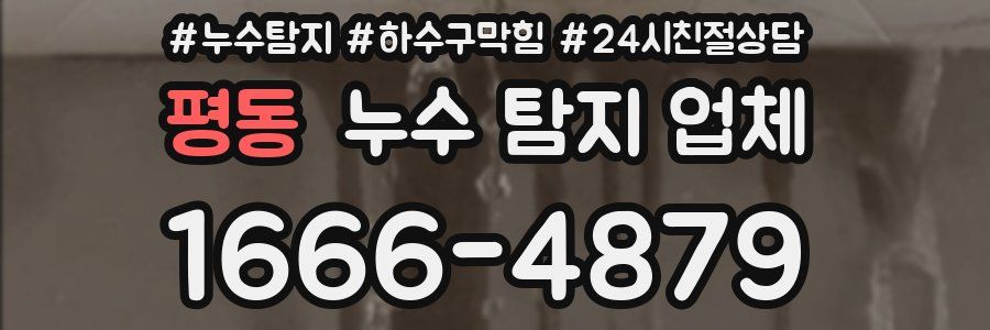 평동 누수 탐지 업체