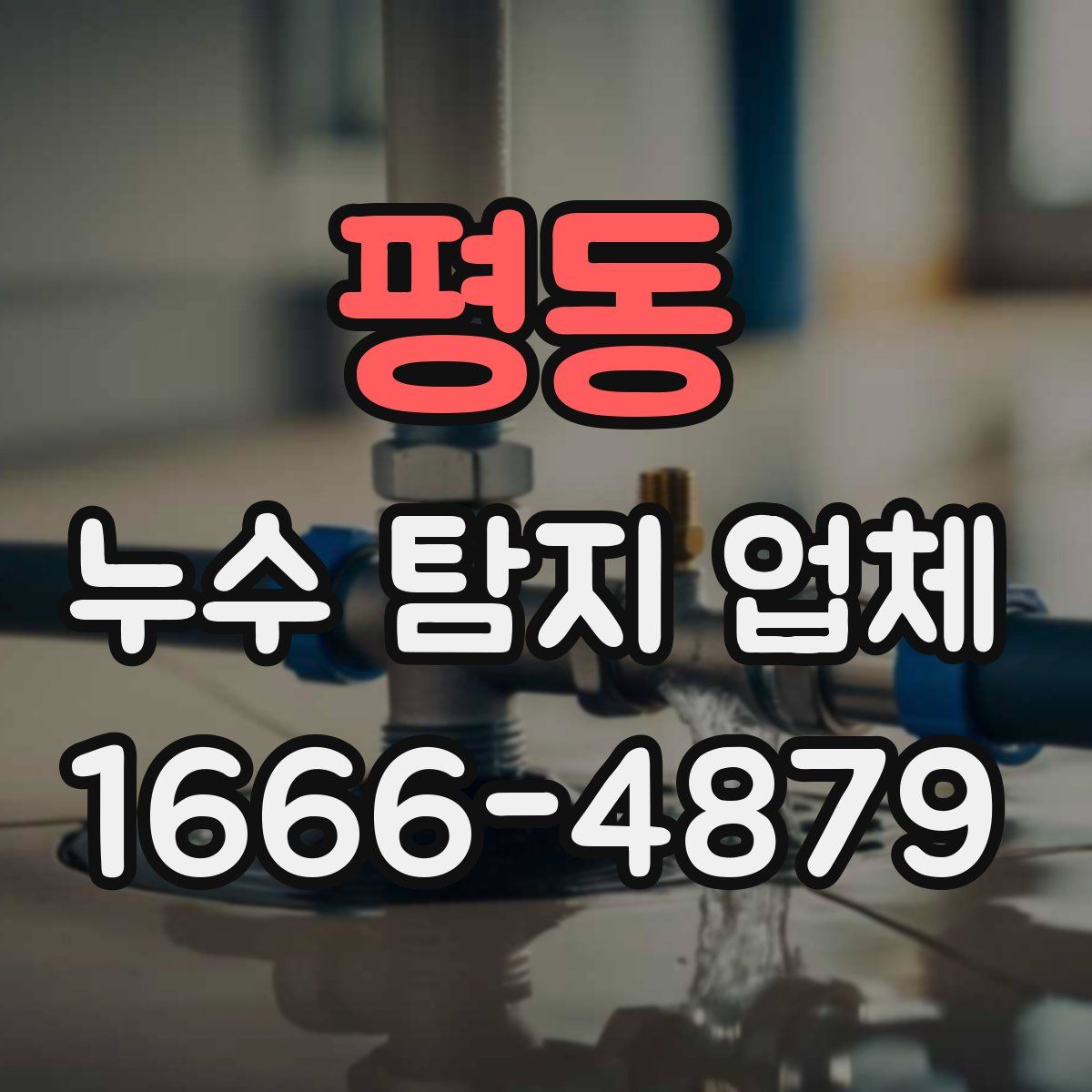 평동 누수 탐지 업체