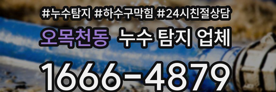 오목천동 누수 탐지 업체