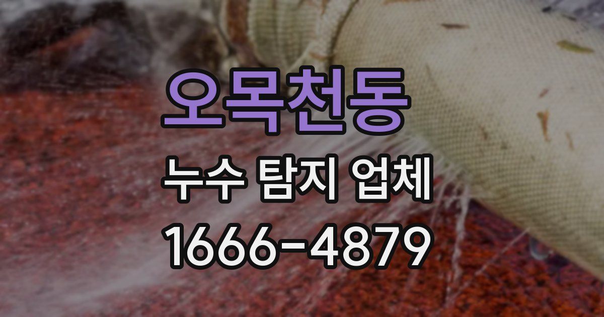 오목천동 누수 탐지 업체