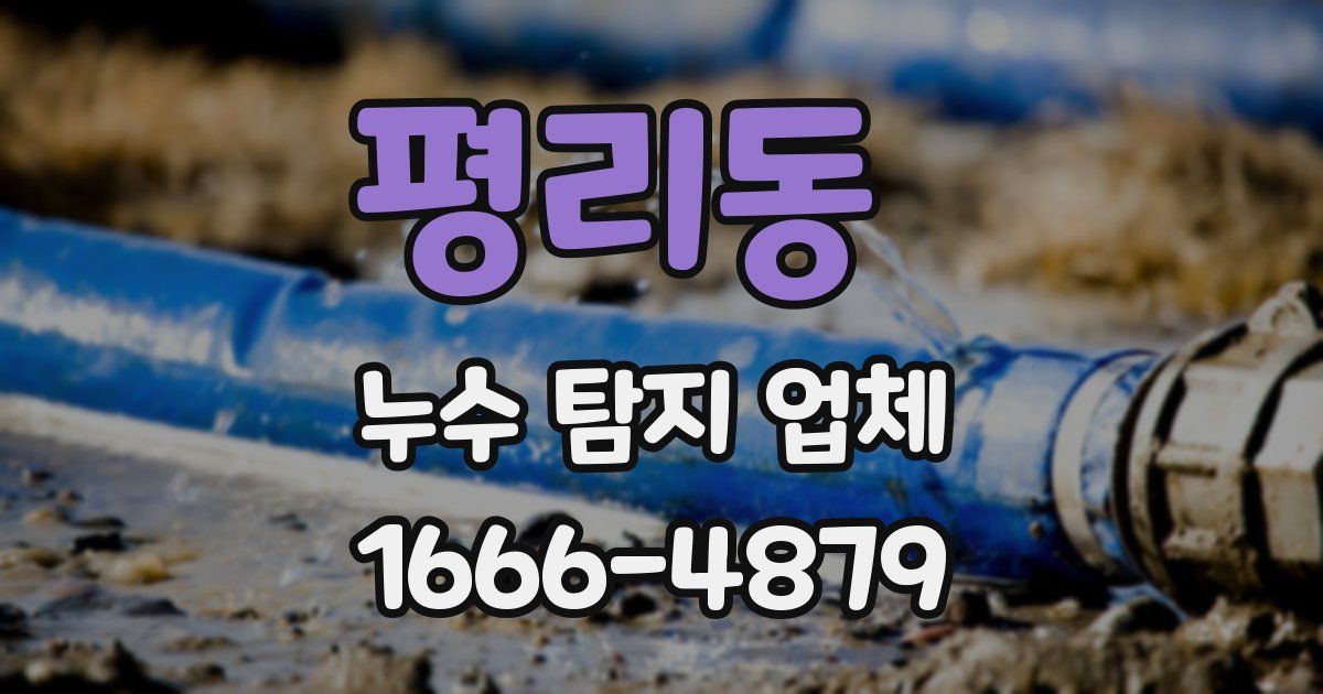 평리동 누수 탐지 업체