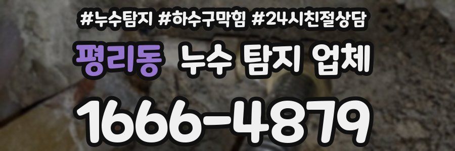 평리동 누수 탐지 업체