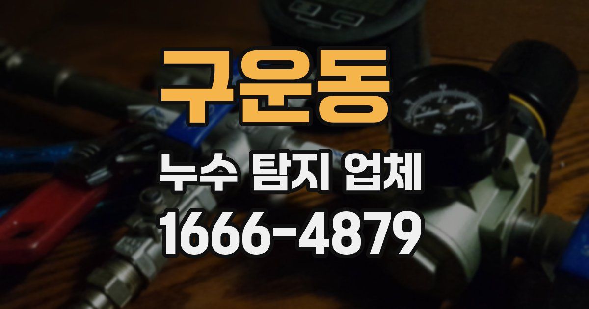 구운동 누수 탐지 업체