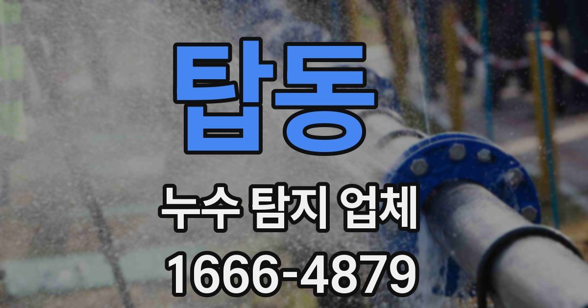 탑동 누수 탐지 업체