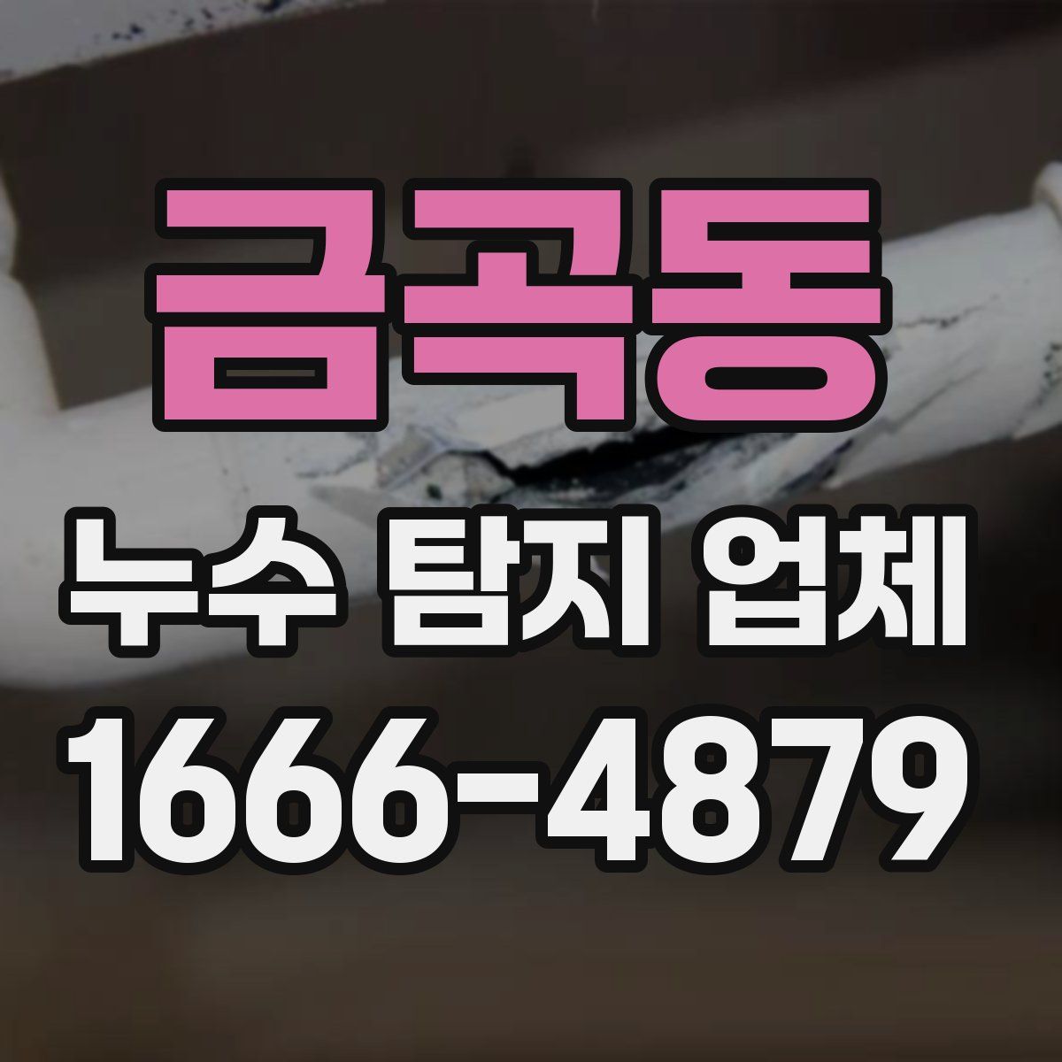 금곡동 누수 탐지 업체