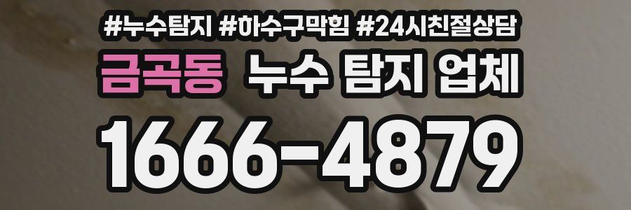 금곡동 누수 탐지 업체